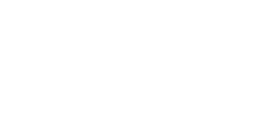 ACE logo