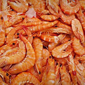 45th-annual-national-shrimp-festival-gallery