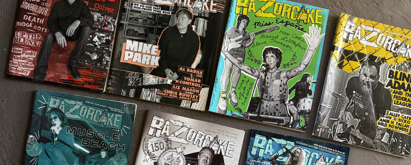 zine magazines for 309 punk project hallozine fest